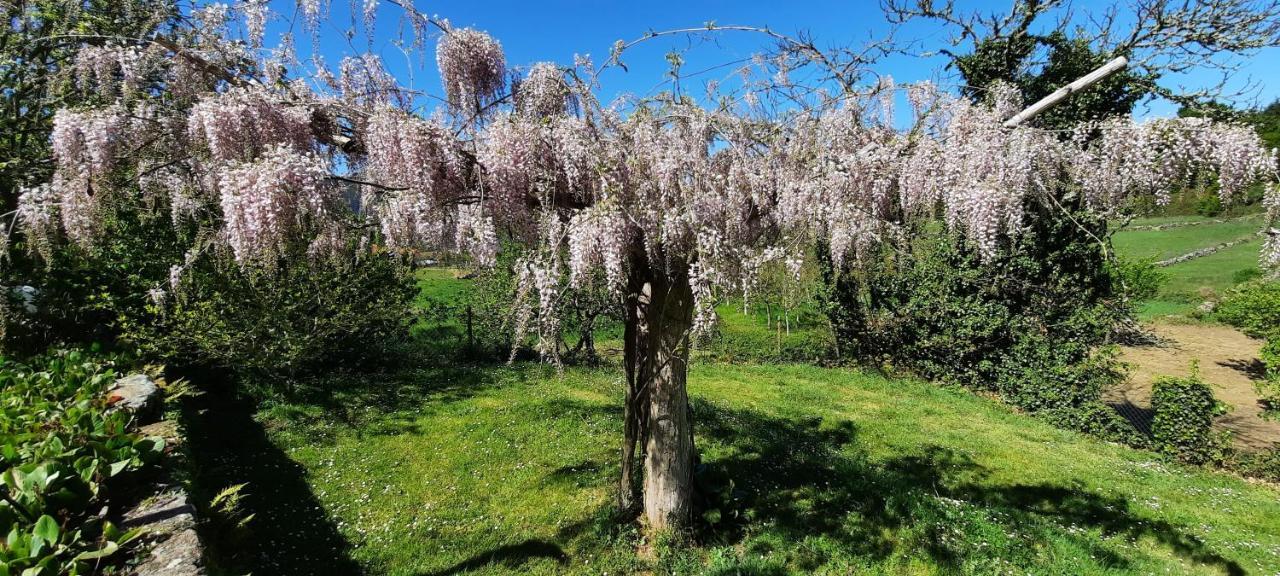 Готель Rectoral De Anllo Sober Екстер'єр фото